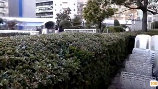 最新成人.国产视频在线观看在线a 日本一区二区在线看_国产在线精品观看一区欧美国产精品不卡在线观看_国产亚洲一区二区手机在线观看